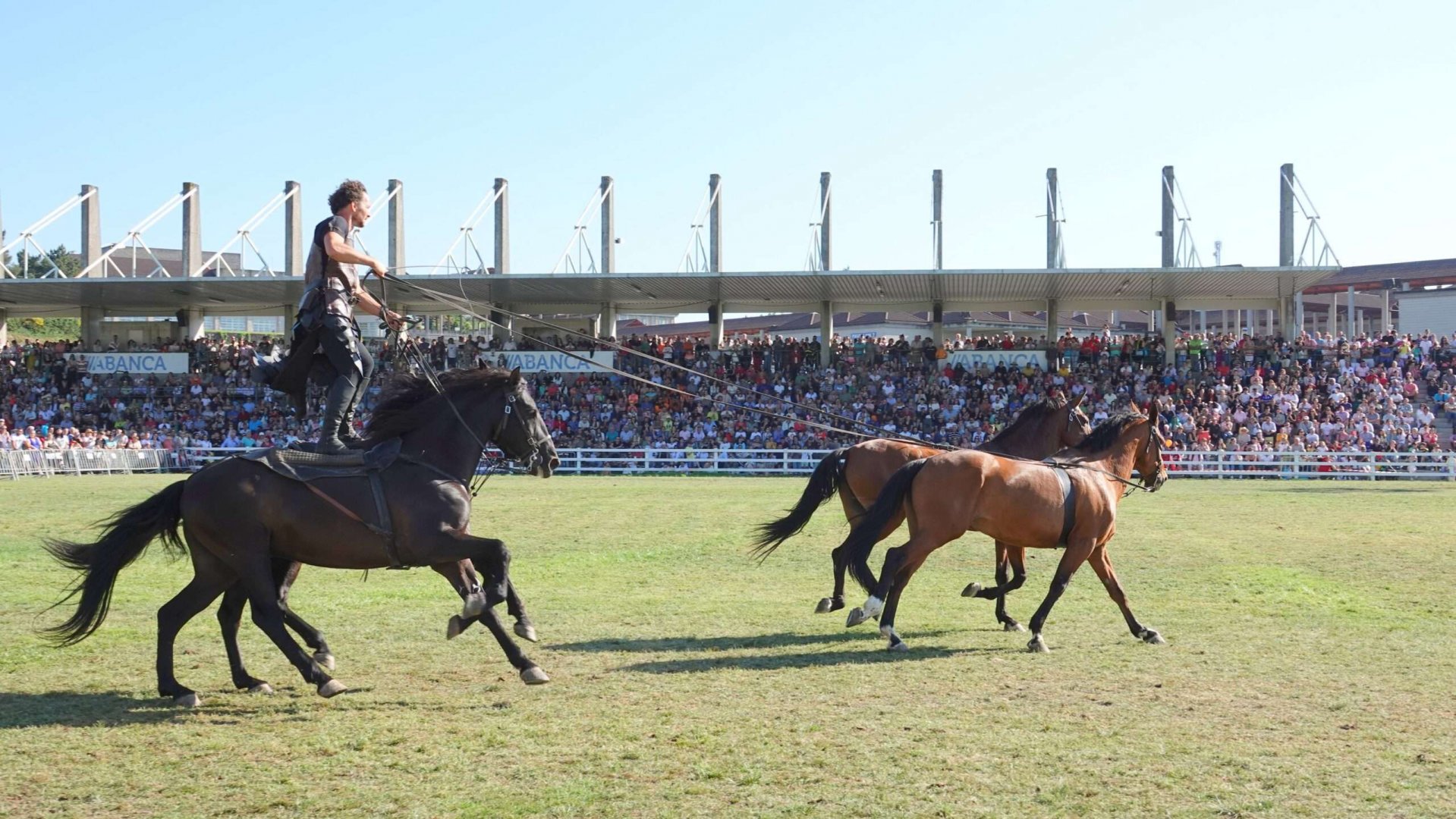 Feria internacional de Silleda